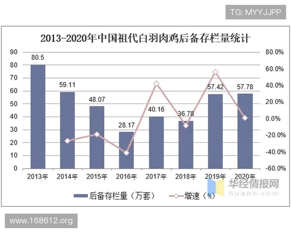 探索未来趋势：全面解析K8娱乐的创新与发展潜力